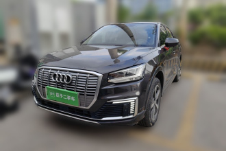 奥迪Q2L e-tron 2019款 Q2L e-tron 纯电智享型