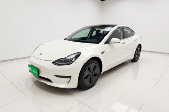 特斯拉 Model 3 2020款 改款 标准续航后驱升级版