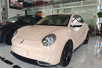 欧拉好猫 2024款 401km 尊荣型 135kW