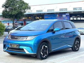 比亚迪 海豚 2021款 405km 自由版