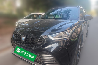丰田 皇冠陆放 2023款 2.5L HEV四驱尊贵版