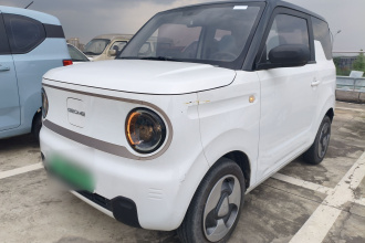 吉利银河 2023款 熊猫mini 200km 灵动熊