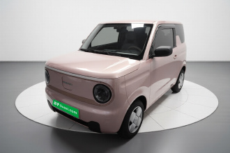 吉利银河 2024款 熊猫mini 200km 龙腾PRO版