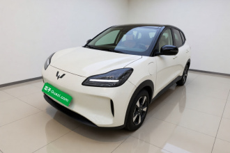 五菱汽车 五菱缤果PLUS 2024款 401km 五座版