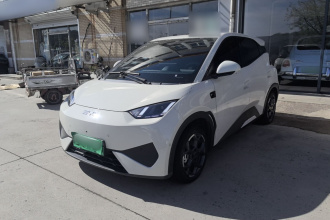 比亚迪 海鸥 2025款 智驾版 305km 自由版