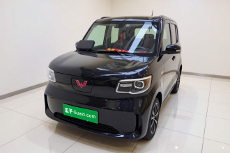 五菱汽车 五菱之光新能源 2025款 305km 进取型