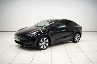 特斯拉 Model Y 2021款 标准续航后驱版