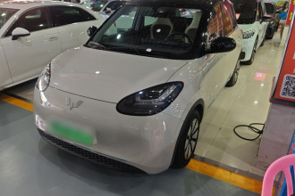 五菱汽车 五菱缤果 2024款 333km 悦享款