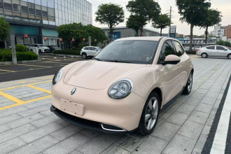 欧拉好猫 2022款 400km标准续航 尊贵型 磷酸铁锂