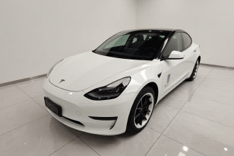 特斯拉 Model 3 2020款 标准续航后驱升级版