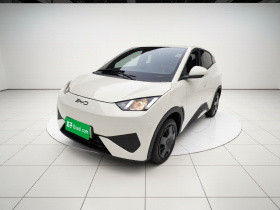 比亚迪 海鸥 2025款 智驾版 305km 活力版