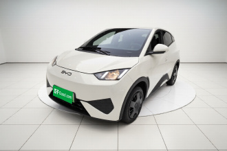 比亚迪 海鸥 2025款 智驾版 305km 活力版