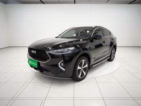 哈弗F7x 2019款 1.5T 两驱极智潮玩版