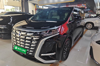 腾势D9 2024款 DM-i 980 四驱尊荣型