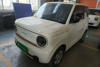 吉利银河 2024款 熊猫mini 200km 耐力熊