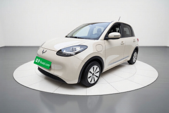 五菱汽车 五菱缤果 2024款 203km 轻享款