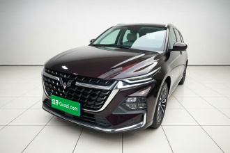 五菱汽车 五菱凯捷 2023款 2.0L DHT奢享型