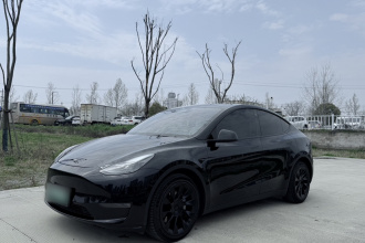 特斯拉 Model Y 2021款 长续航全轮驱动版 3D7