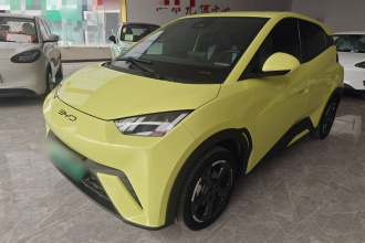 比亚迪 海鸥 2023款 飞翔版