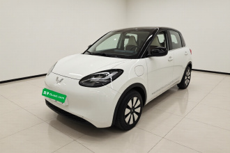 五菱汽车 五菱缤果 2024款 333km 悦享款