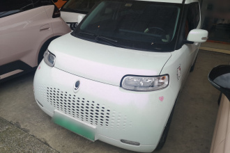 欧拉白猫 2020款 305km 豪华型