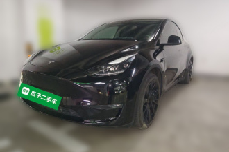 特斯拉 Model Y 2021款 标准续航后驱版