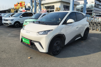 比亚迪 海鸥 2025款 305km 活力版