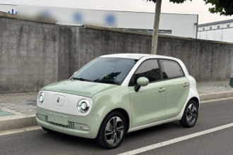 欧拉黑猫 2022款 351km 舒适型 三元锂