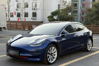 特斯拉 Model 3(进口) 2019款 长续航后驱版