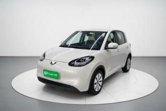 五菱汽车 五菱缤果 2023款 333km 快享款