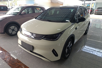 比亚迪 海豚 2025款 智驾版 420km 自由版