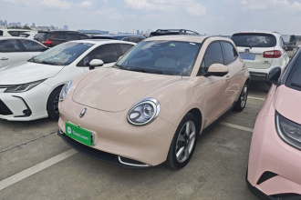 欧拉好猫 2023款 401km标准续航 尊荣型 磷酸铁锂