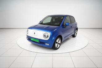 欧拉黑猫 2021款 301km 基础型