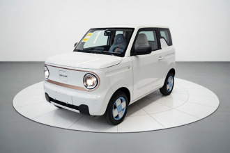 吉利银河 2024款 熊猫mini 200km 龙腾PRO版