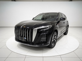 红旗HS3 2023款 1.5T 两驱善为版