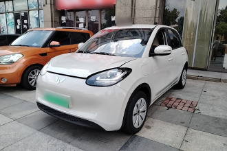 五菱汽车 五菱缤果 2024款 203km 轻享款