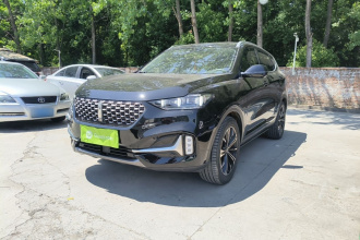 魏牌 VV6 2021款 2.0T 两驱智享+