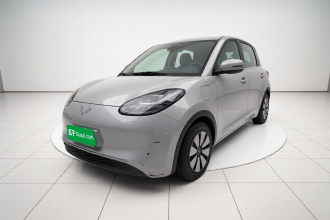 五菱汽车 五菱缤果 2024款 333km 悦享款
