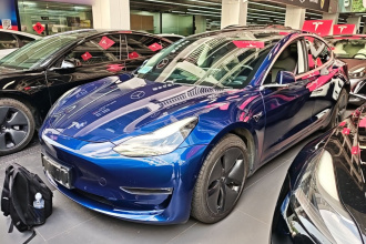 特斯拉 Model 3(进口) 2019款 长续航全轮驱动版