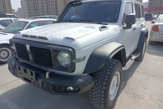 坦克300 2023款 2.0T 铁骑02