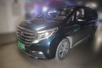 广汽传祺 传祺M8 2018款 320T 尊贵版