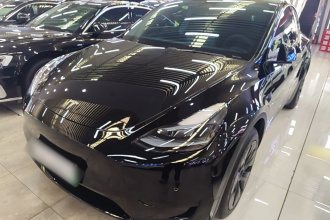 特斯拉 Model Y 2023款 后轮驱动版