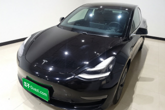 特斯拉 Model 3 2020款 改款 长续航后轮驱动版