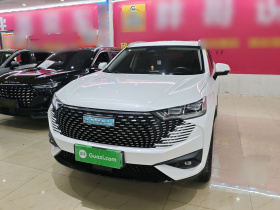 哈弗H6新能源 2023款 DHT-PHEV 110KM 悦行版