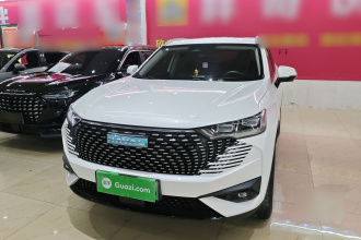 哈弗H6新能源 2023款 DHT-PHEV 110KM 悦行版