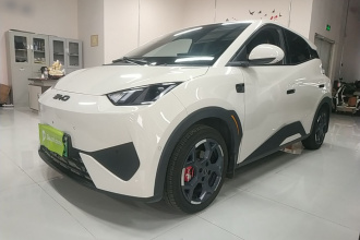 比亚迪 海鸥 2025款 智驾版 305km 自由版