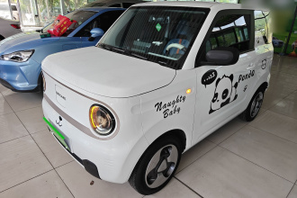 吉利银河 2023款 熊猫mini 200km 耐力熊
