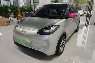 五菱汽车 五菱缤果 2023款 333km 悦享+款