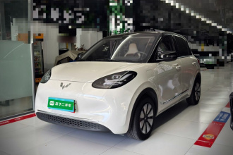 五菱汽车 五菱缤果 2024款 333km 悦享款