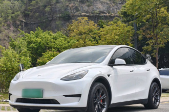 特斯拉 Model Y 2024款 后轮驱动版